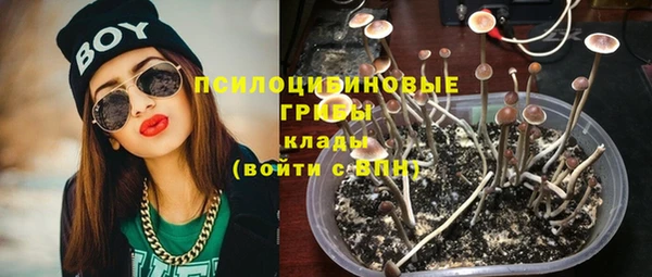 дмт Нефтекумск