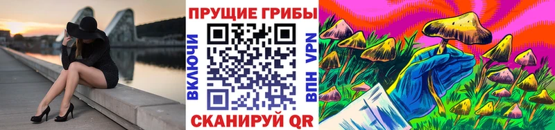 hydra зеркало  купить наркотик  Новотроицк  Псилоцибиновые грибы мицелий 