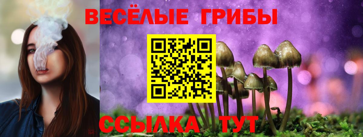 Галлюциногенные грибы мухоморы  Вход с VPN  Новотроицк  Псилоцибиновые грибы Psilocybine cubensis 